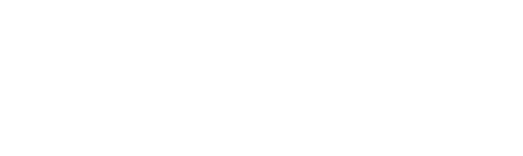 audytor biale